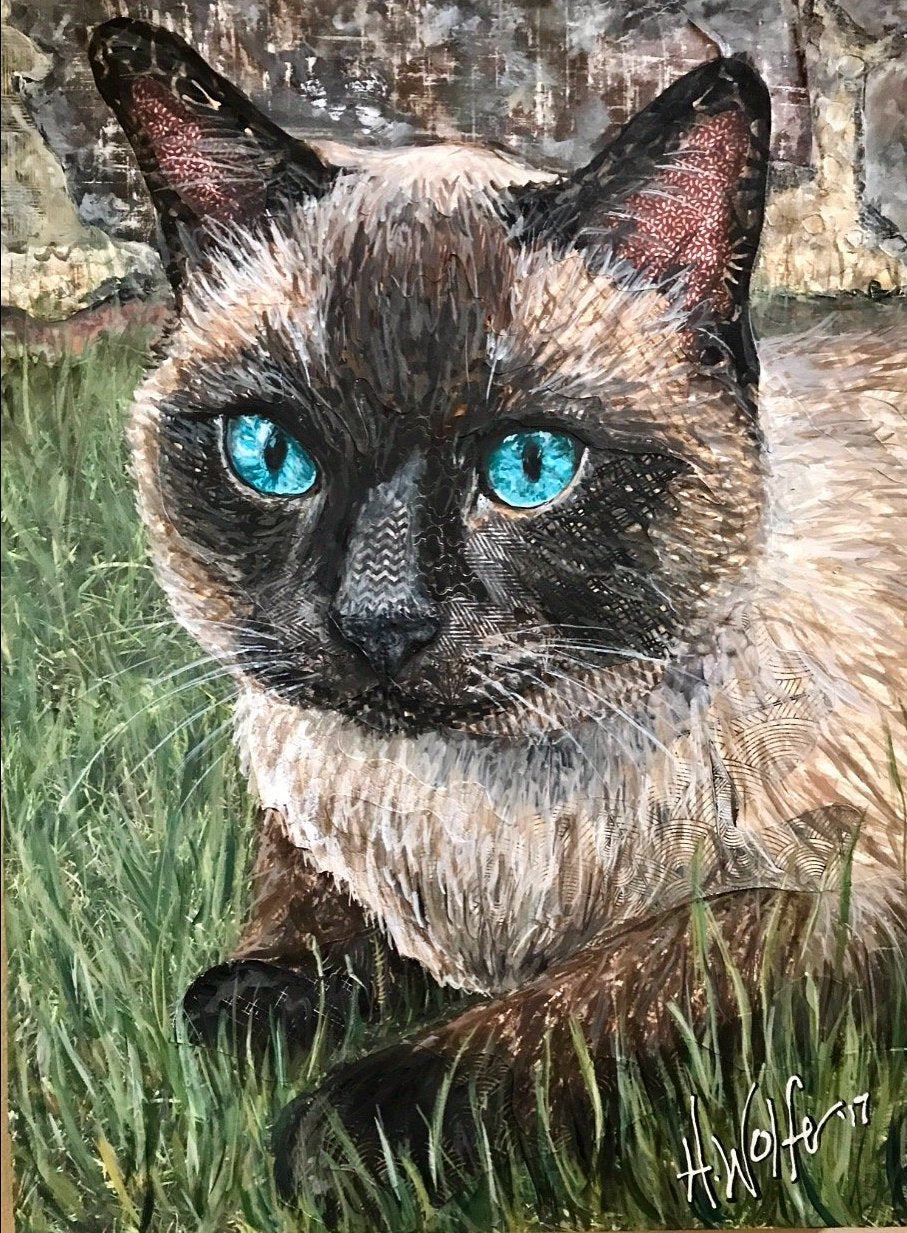Ira - Cat