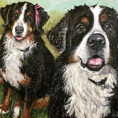 Pina & Niles - Bernese Mountain Dogs