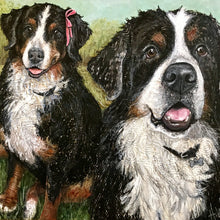 Pina & Niles - Bernese Mountain Dogs