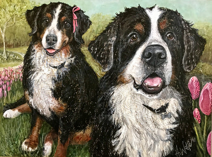 Pina & Niles - Bernese Mountain Dogs