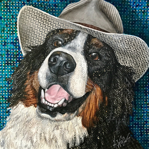 Dually - Bernese Mountain Dog