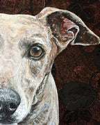 Gia - Greyhound