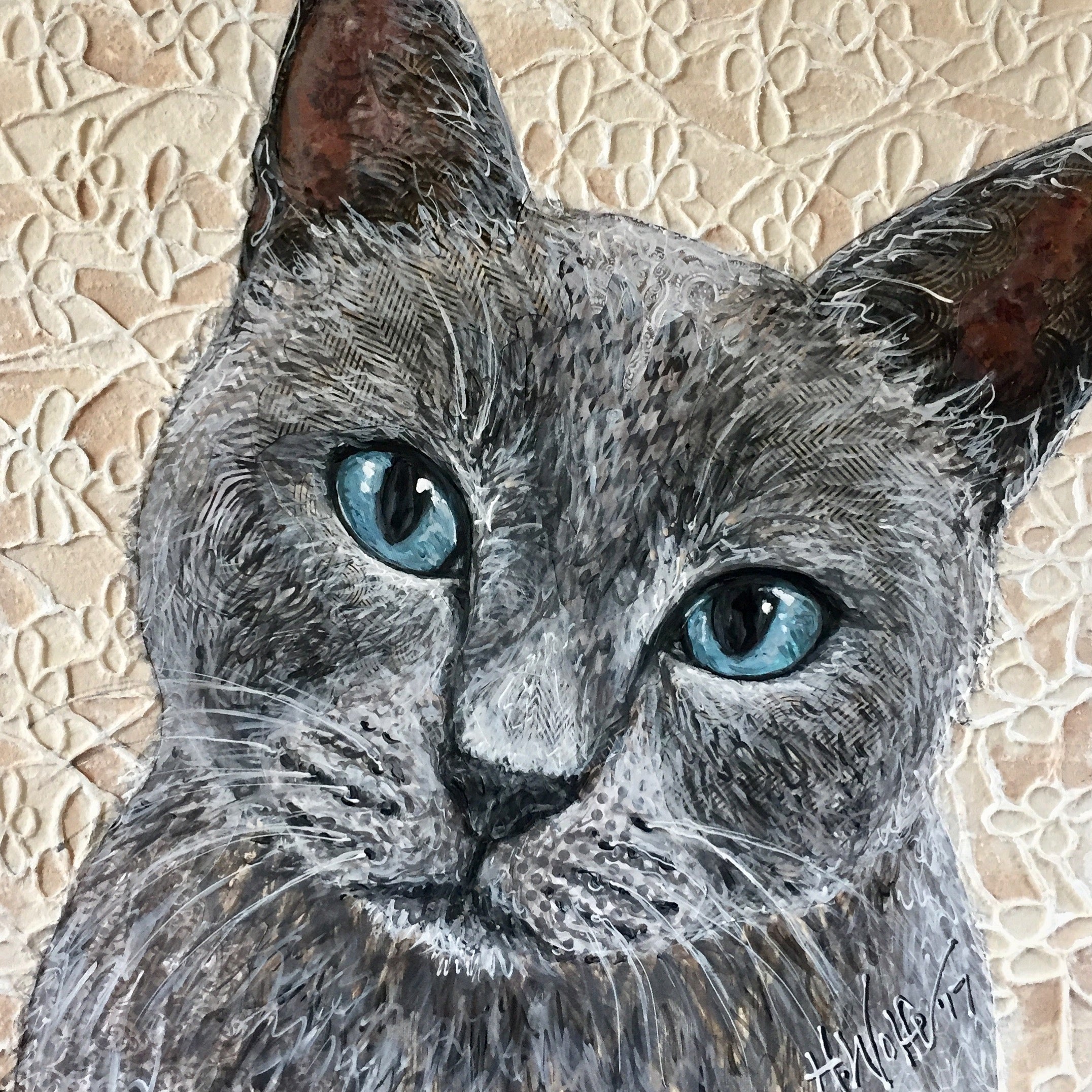Snowshoe Cat