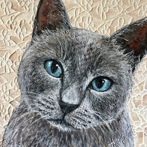 Snowshoe Cat