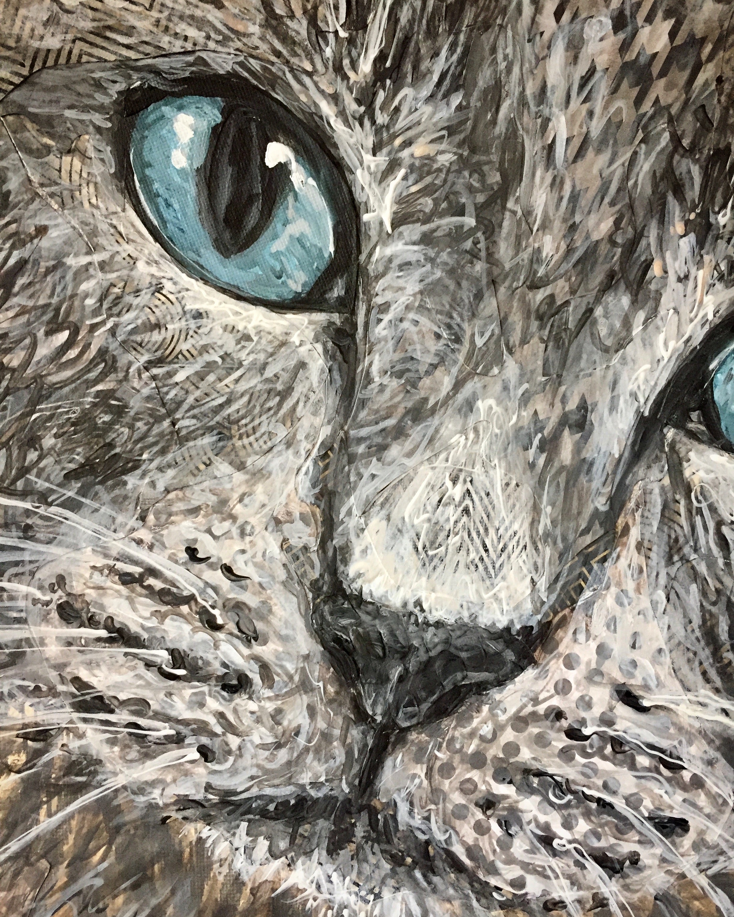 Snowshoe Cat