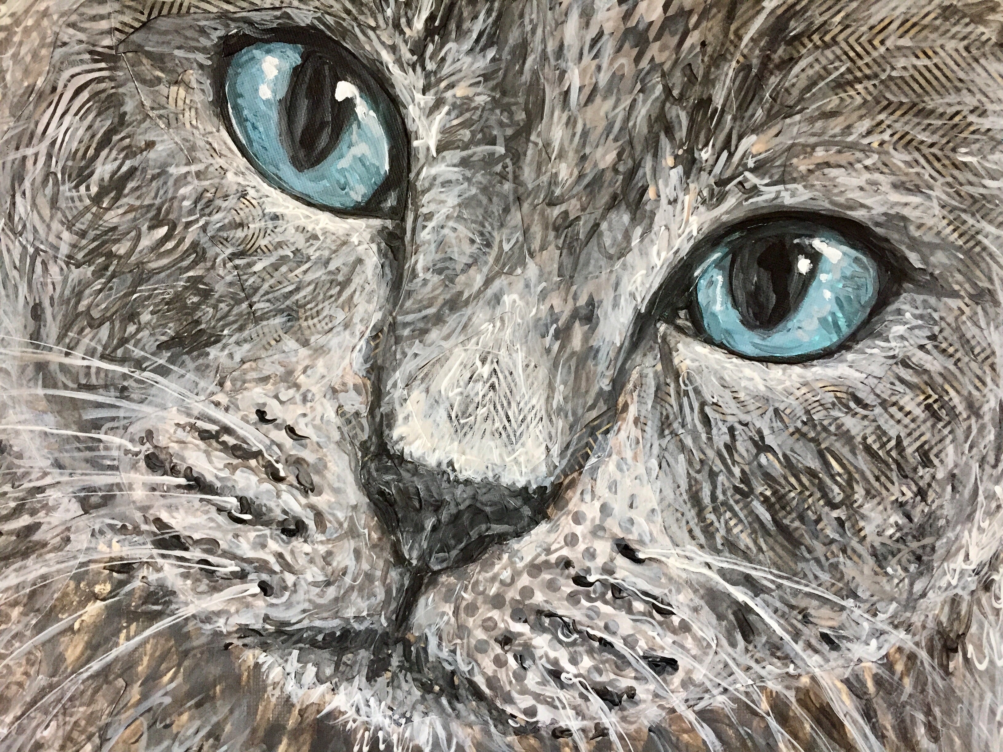 Snowshoe Cat