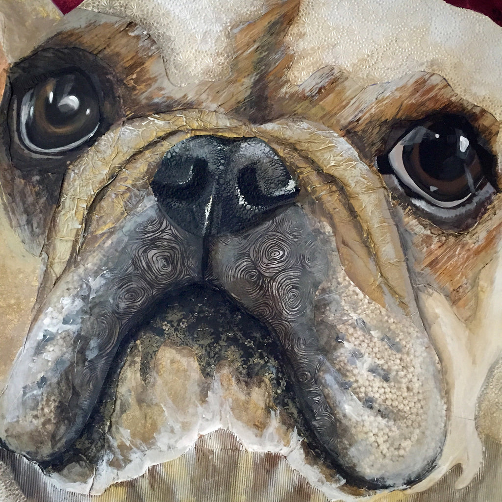 Fifi - French Bulldog