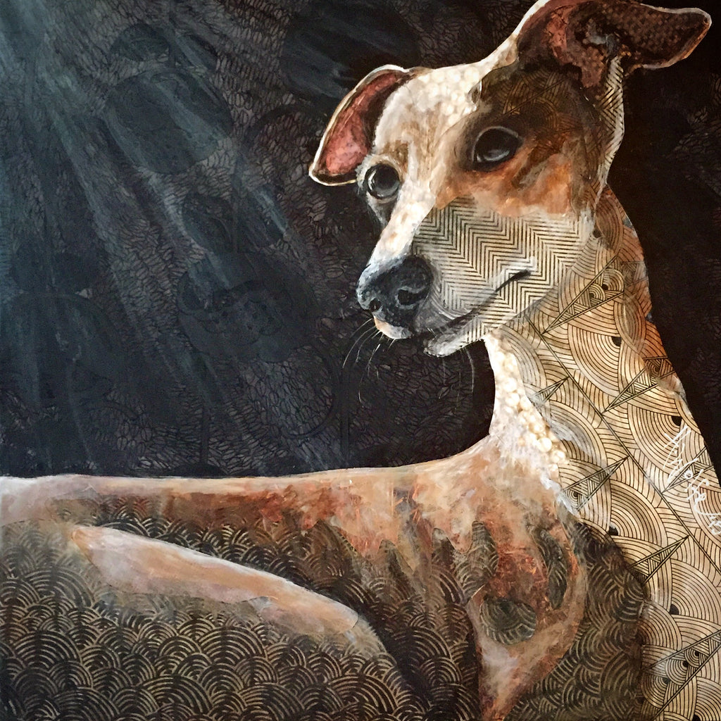 Summer - Italian Greyhound