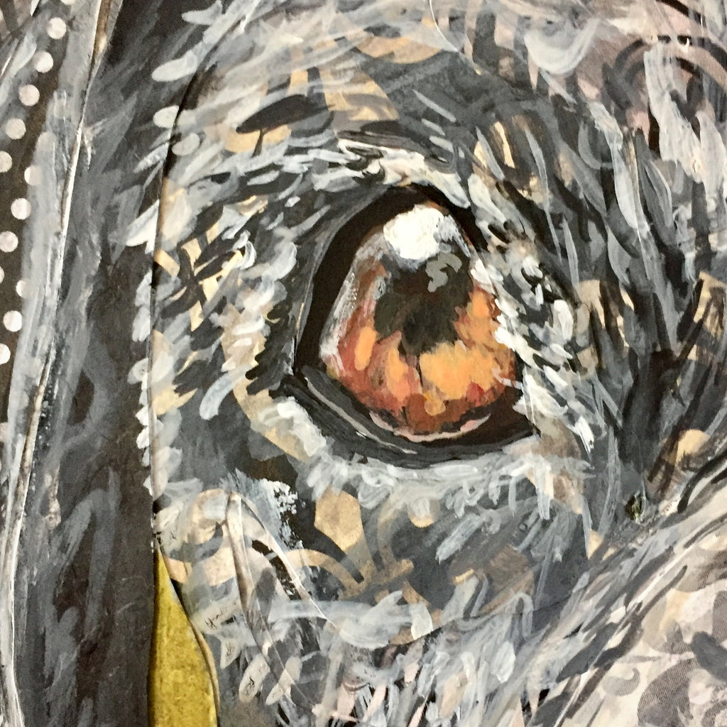 Guinness -  Great Dane