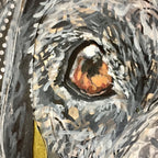 Guinness -  Great Dane