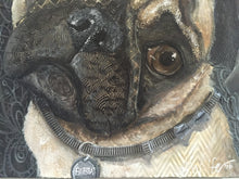 Bubba - Pug