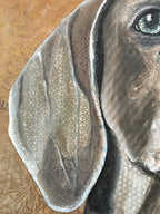 Gibson - Weimaraner
