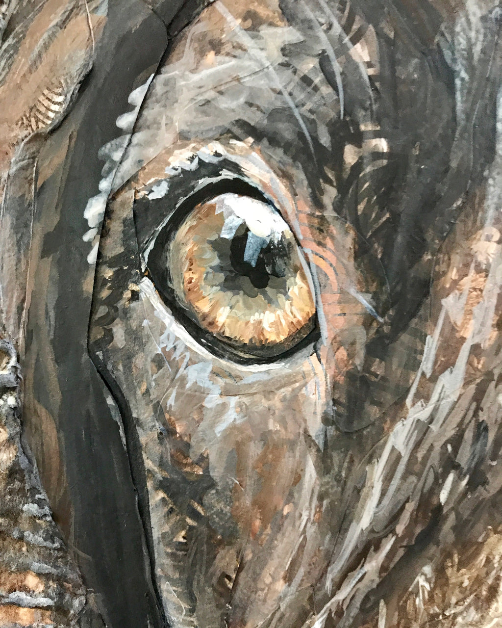 Bailey - English Springer Spaniel