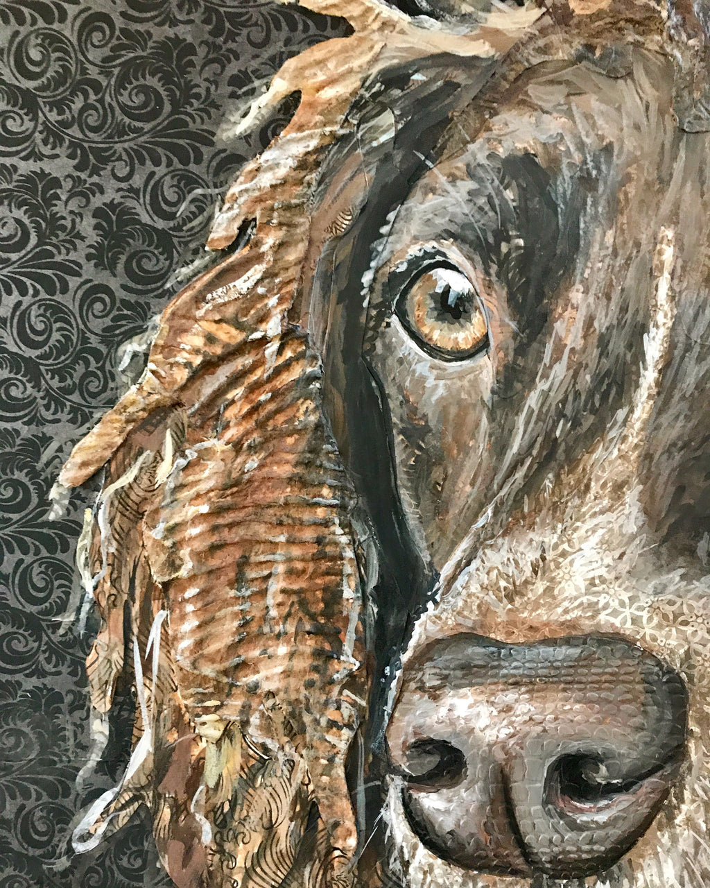 Bailey - English Springer Spaniel