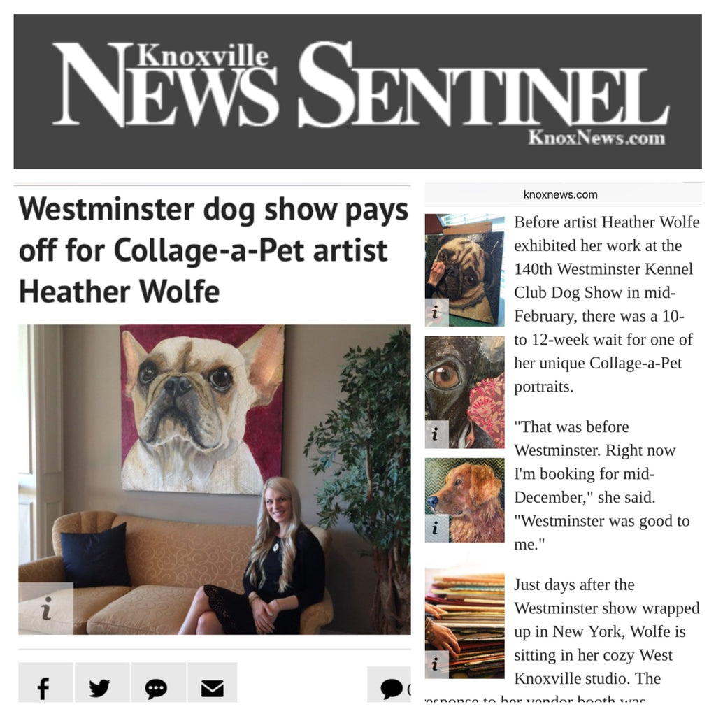 Fifi - French Bulldog