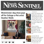 Fifi - French Bulldog