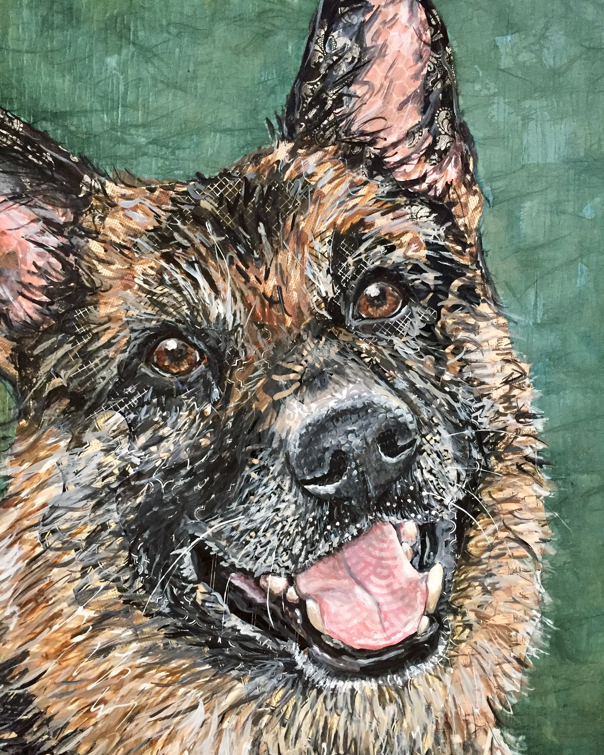 Will - German Shepherd