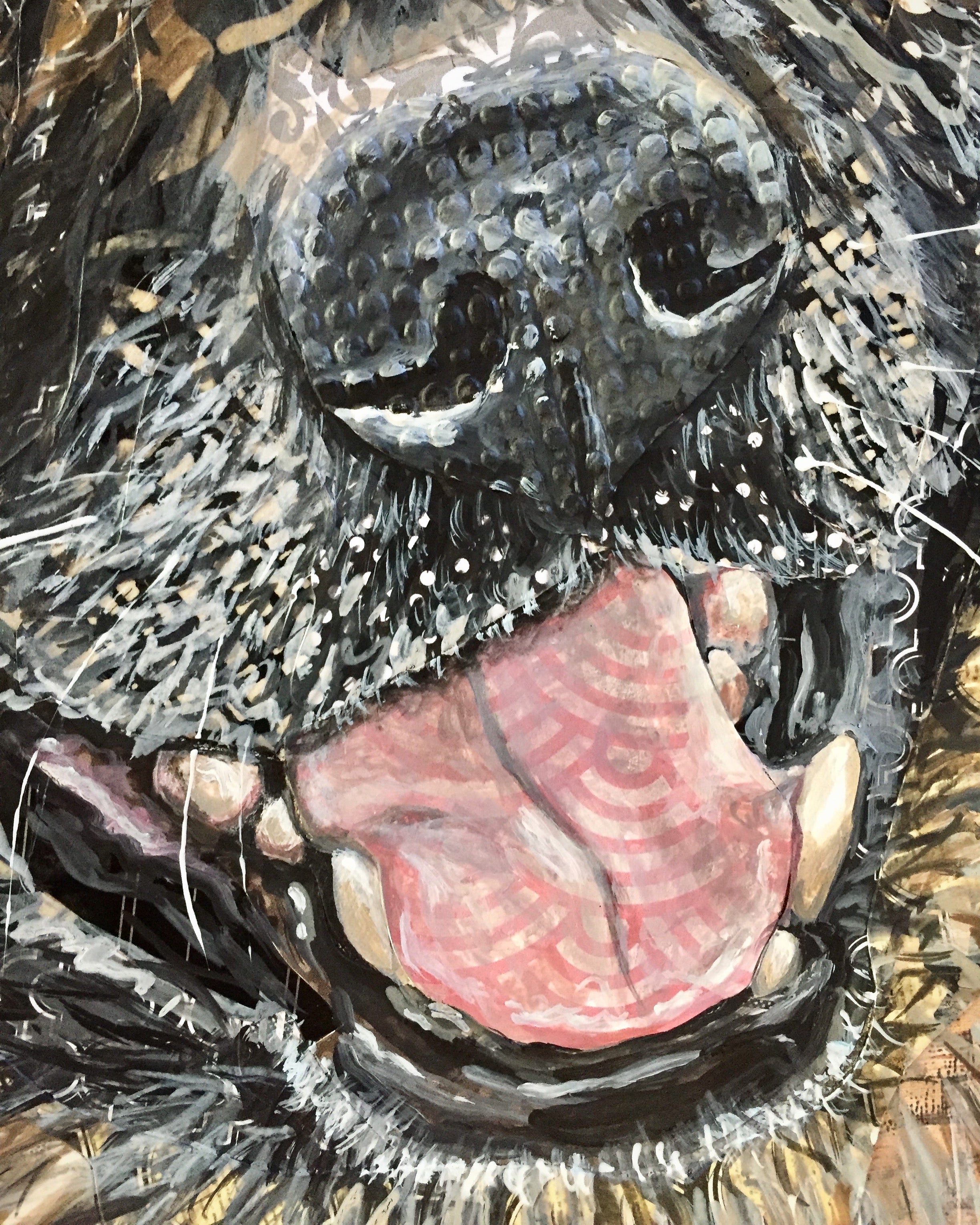 Will - German Shepherd