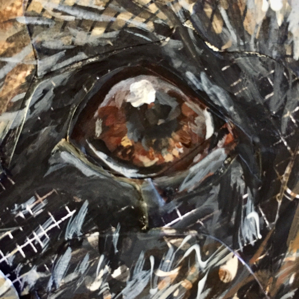 Will - German Shepherd