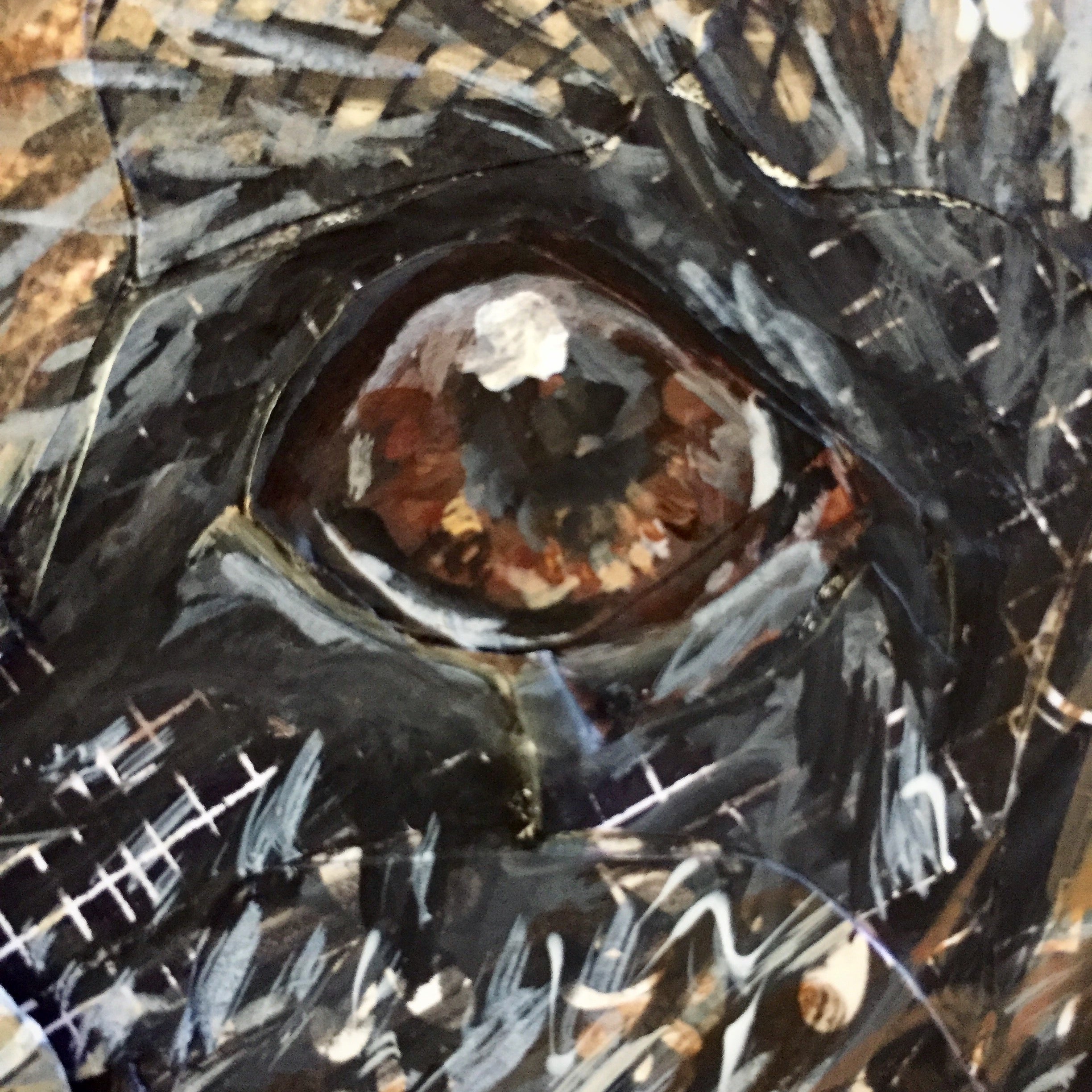 Will - German Shepherd