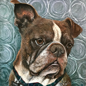 Tybee - Boston Terrier/English Bulldog Mix