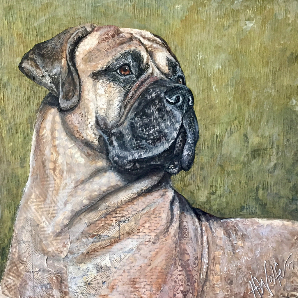 Bruno - Bullmastiff