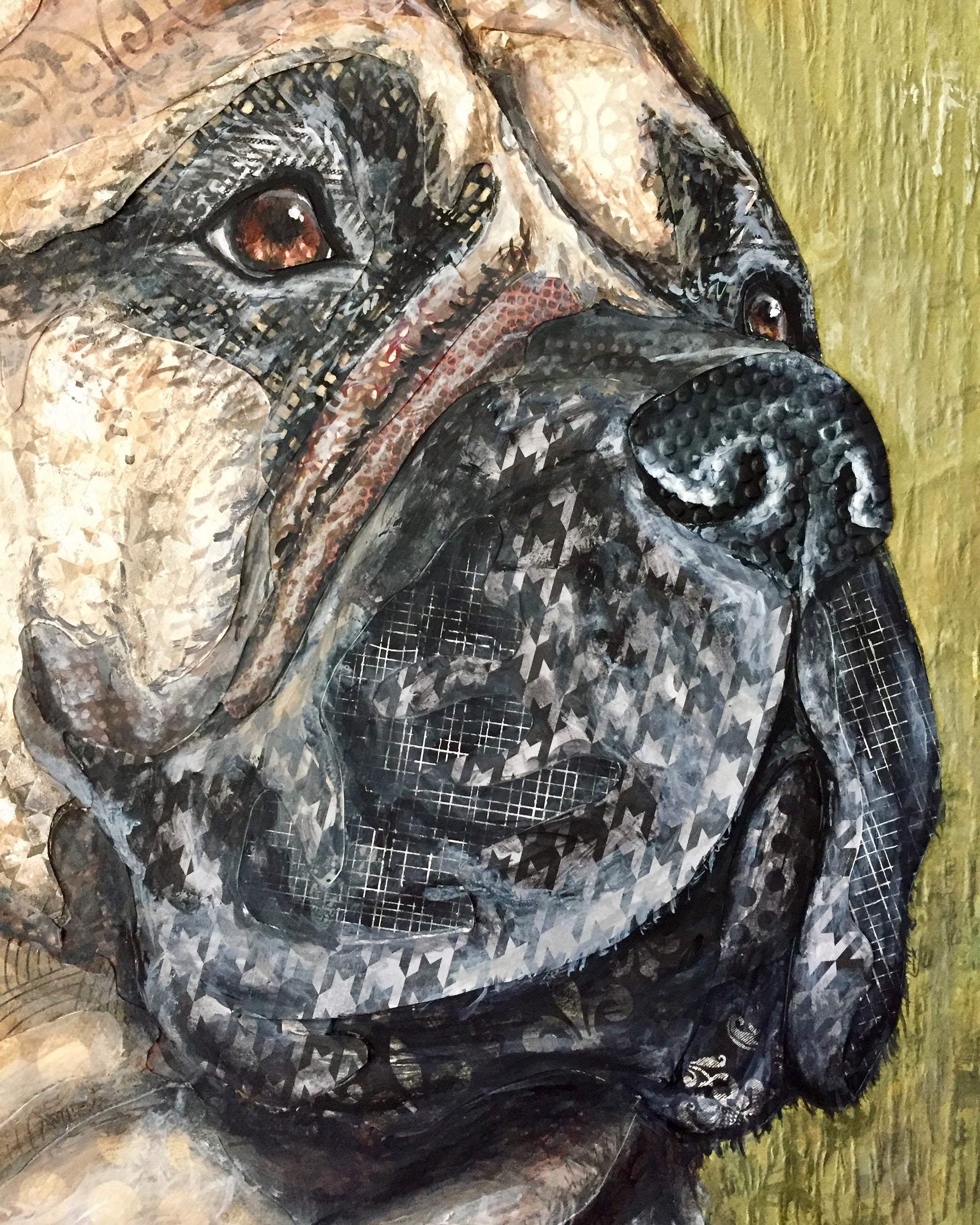 Bruno - Bullmastiff