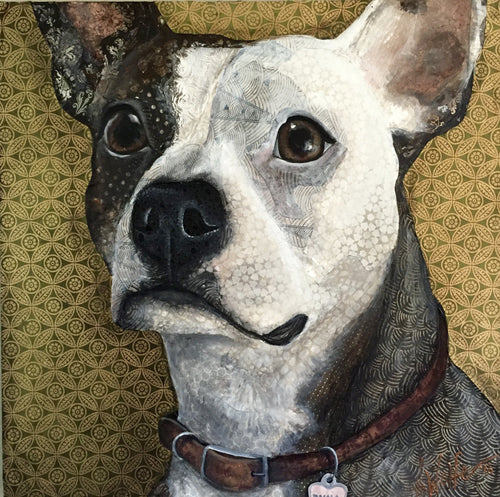 Emma  - Pit Mix
