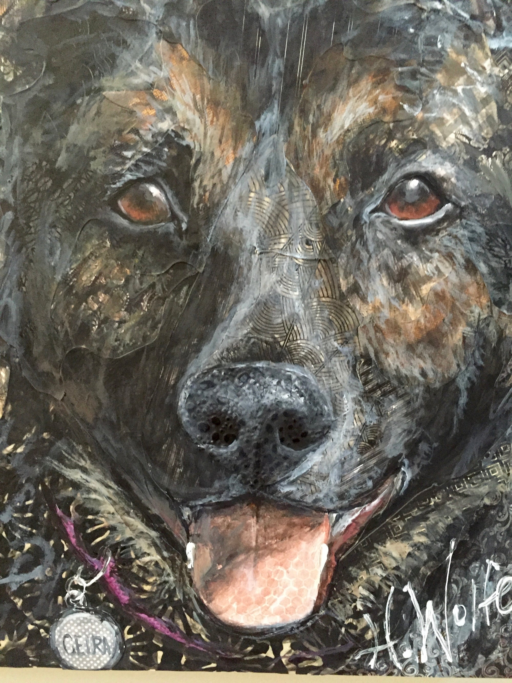 Multiple Pets - German Shepherd