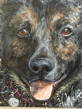 Multiple Pets - German Shepherd