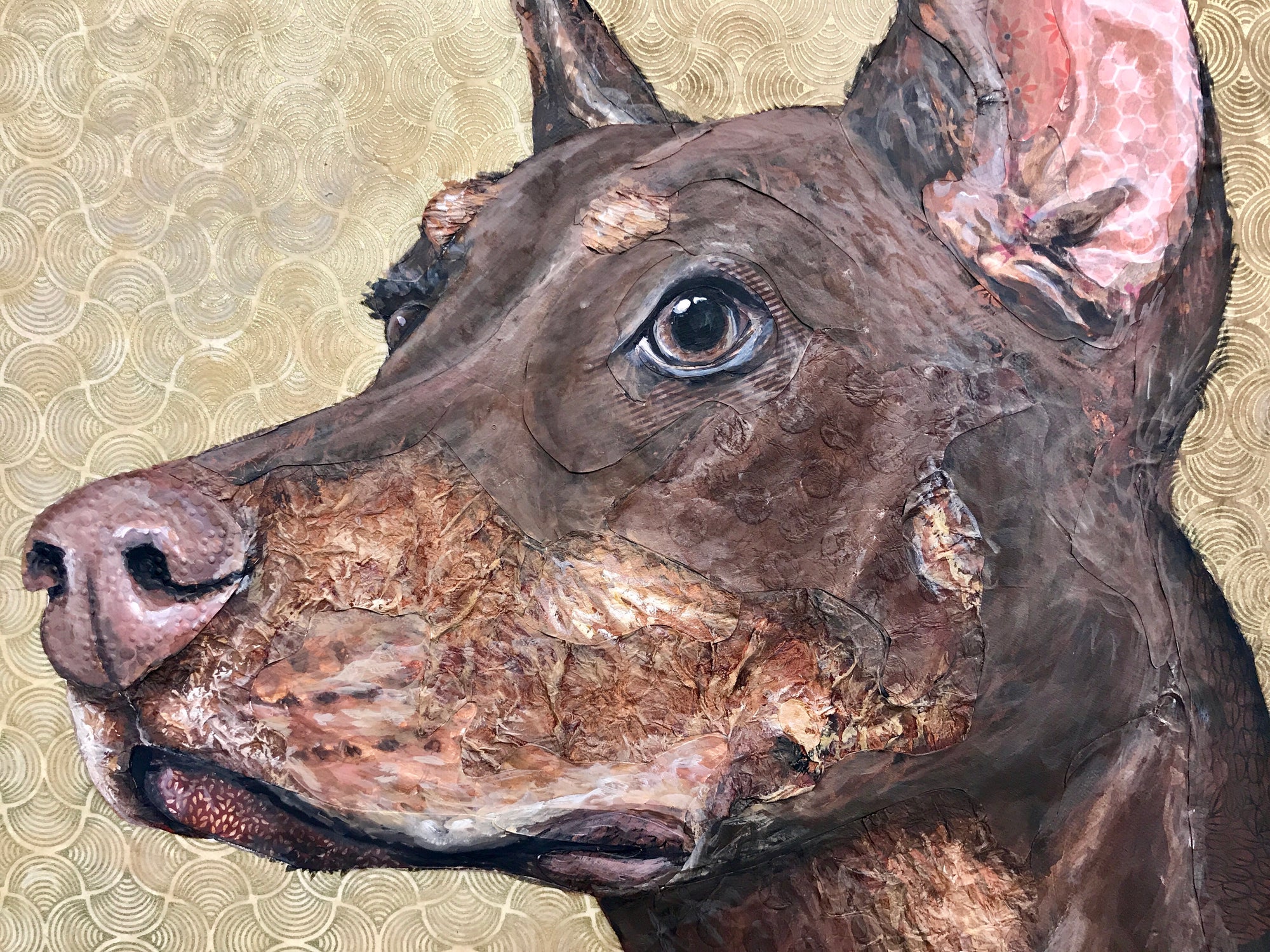 Covergirl - Doberman Pinscher