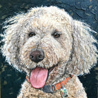 Emerson - Goldendoodle