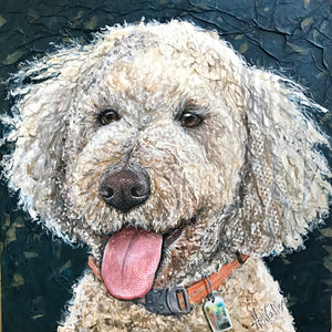 Emerson - Goldendoodle
