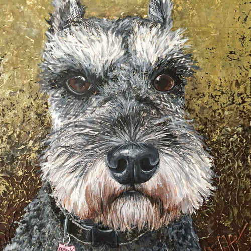 Pepper - Schnauzer