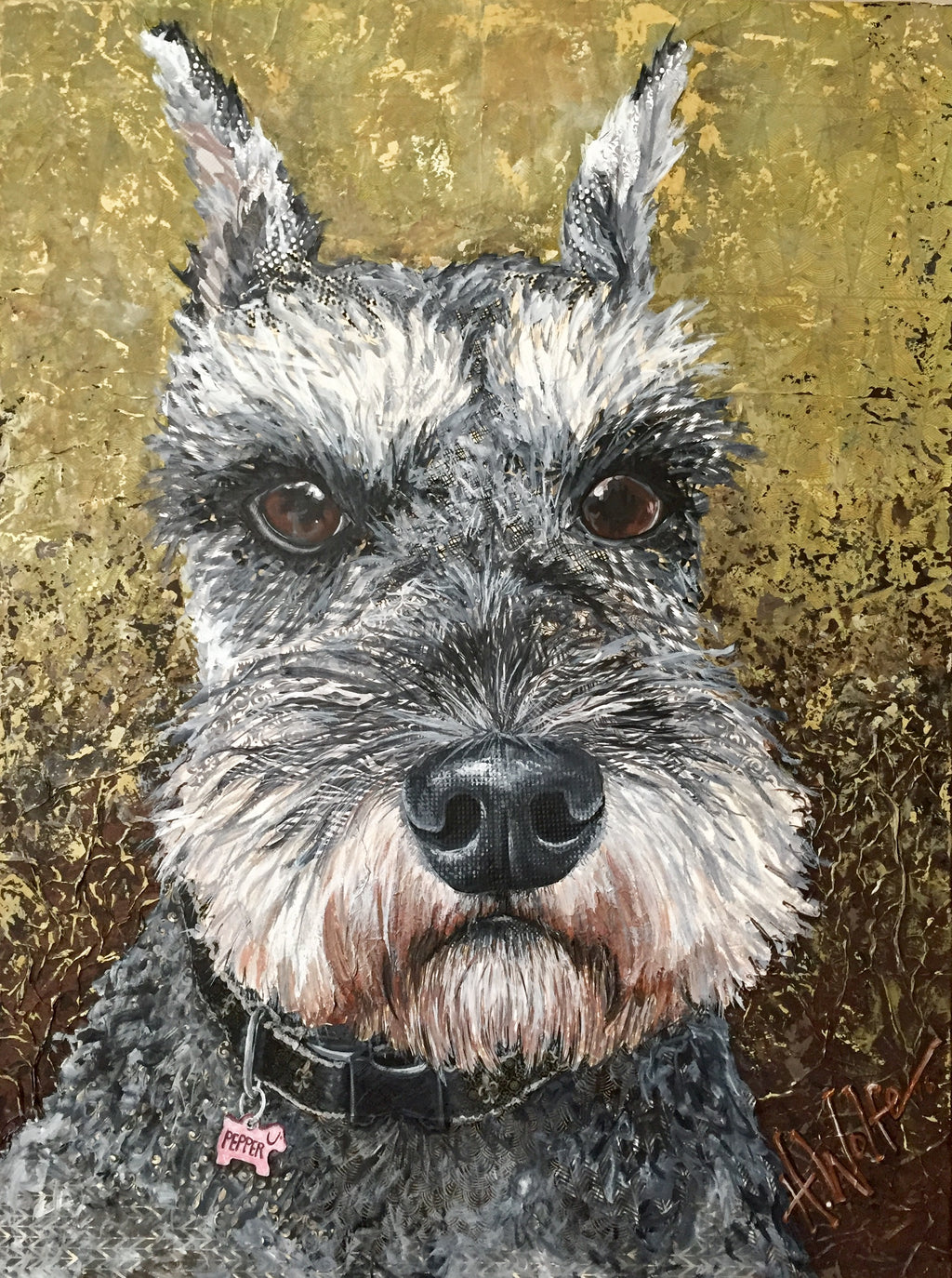 Pepper - Schnauzer