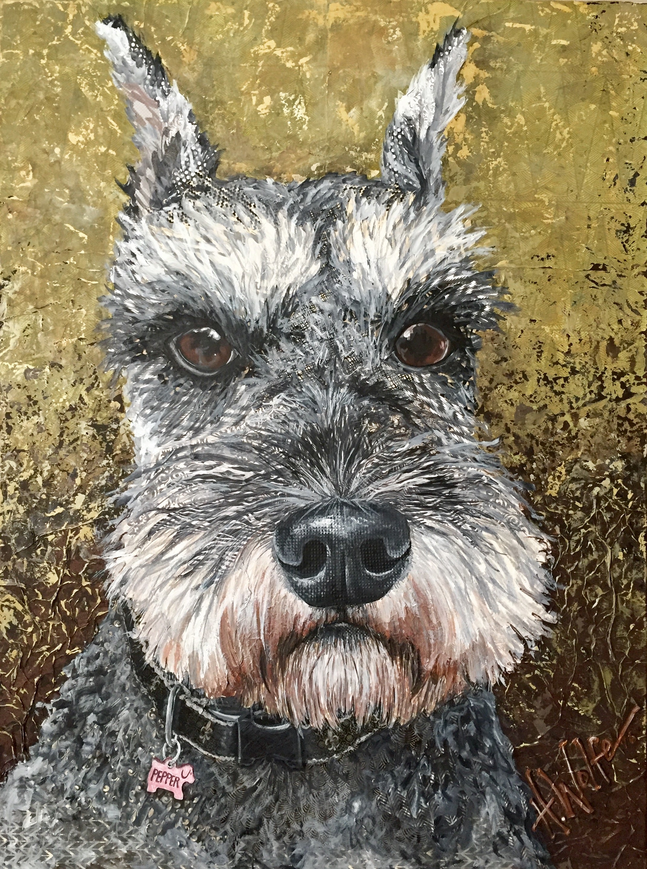Pepper - Schnauzer