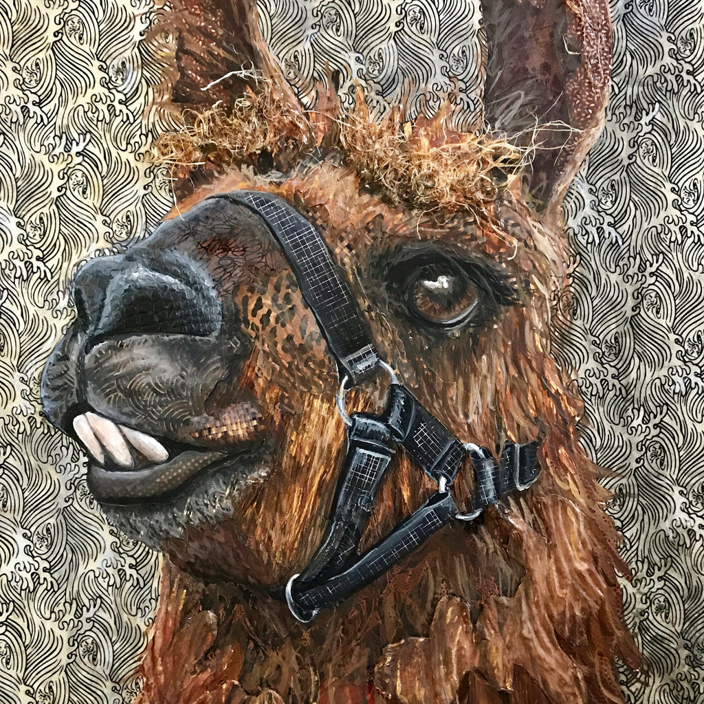 Rojo - Therapy Llama