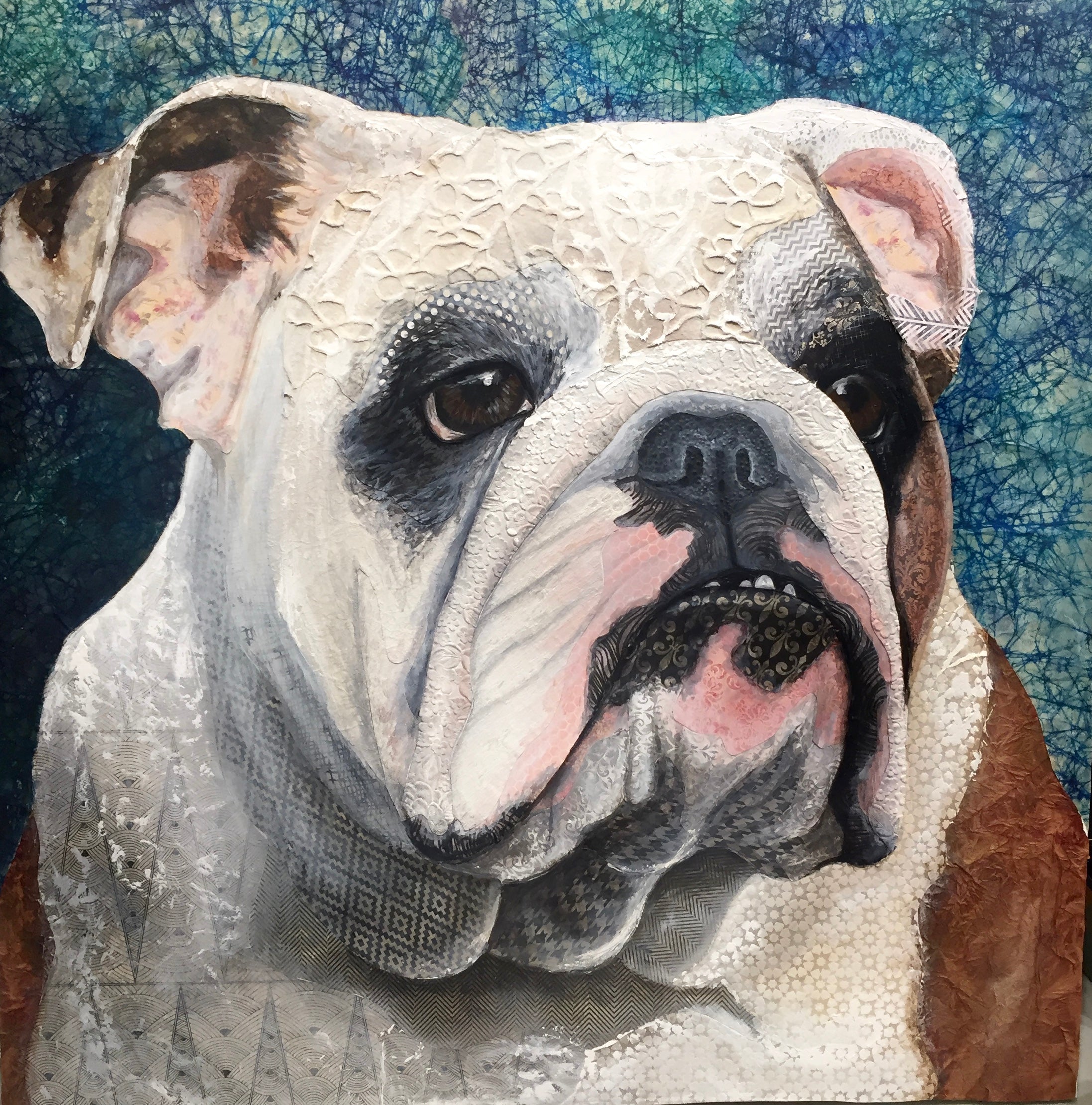 Ollie - English Bulldog