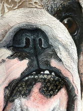 Ollie - English Bulldog
