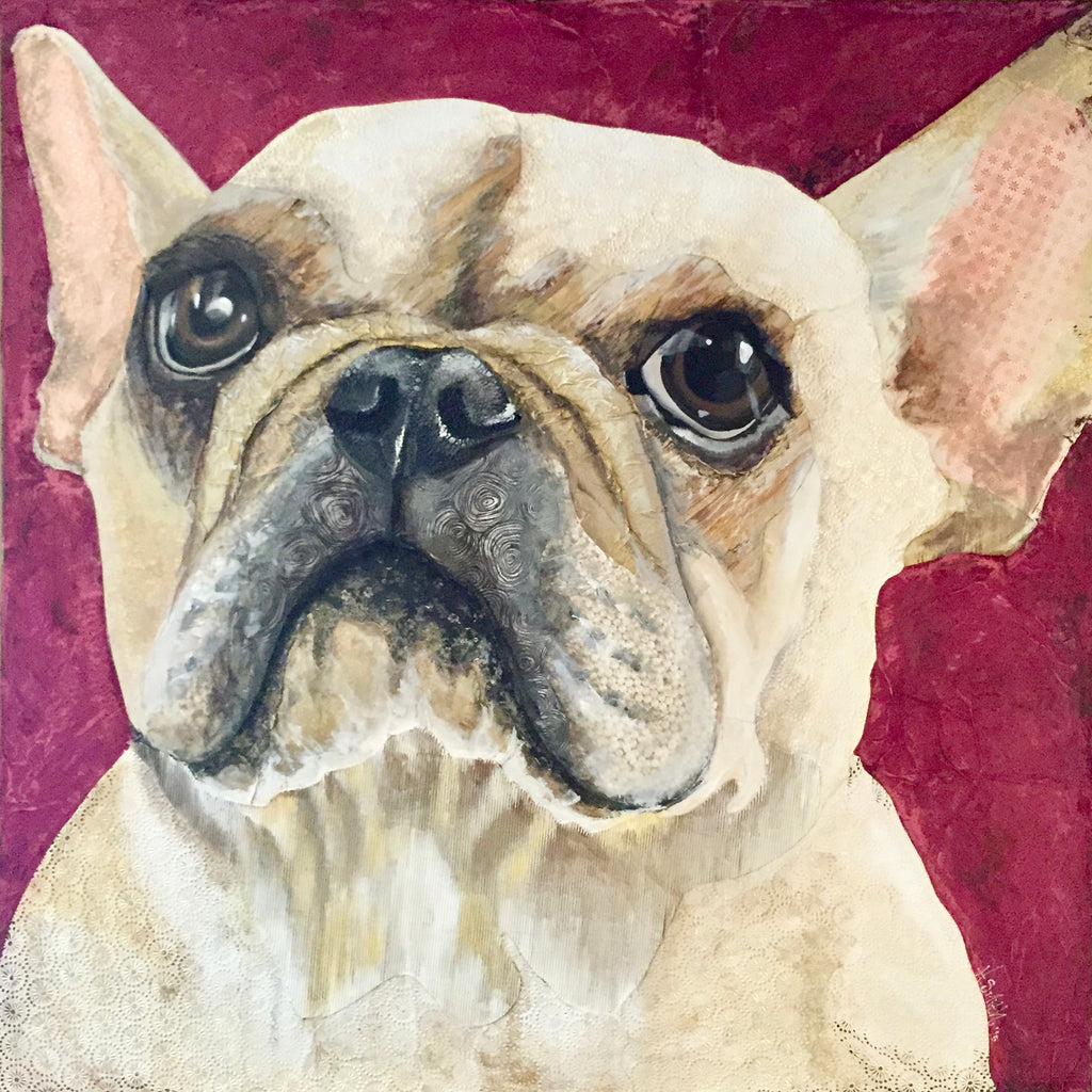 Fifi - French Bulldog