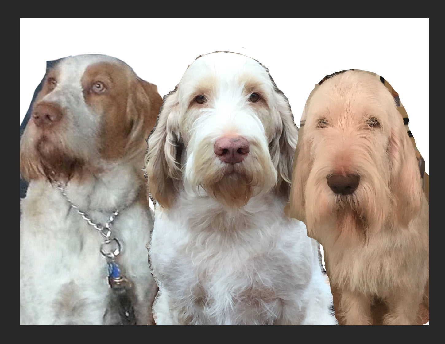 Enzo, Zeppe, Spio -GBGV