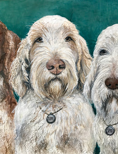 Enzo, Zeppe, Spio -GBGV