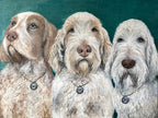 Enzo, Zeppe, Spio -GBGV