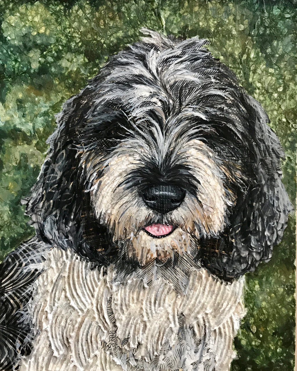 Peyton - PBGV