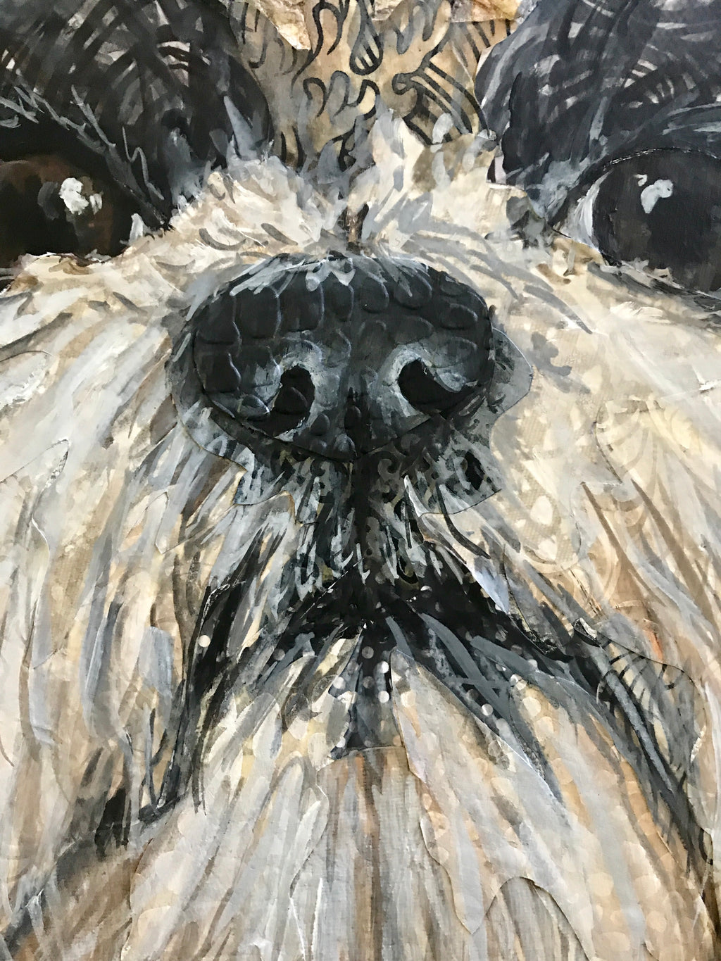 Porthos - Shih Tzu