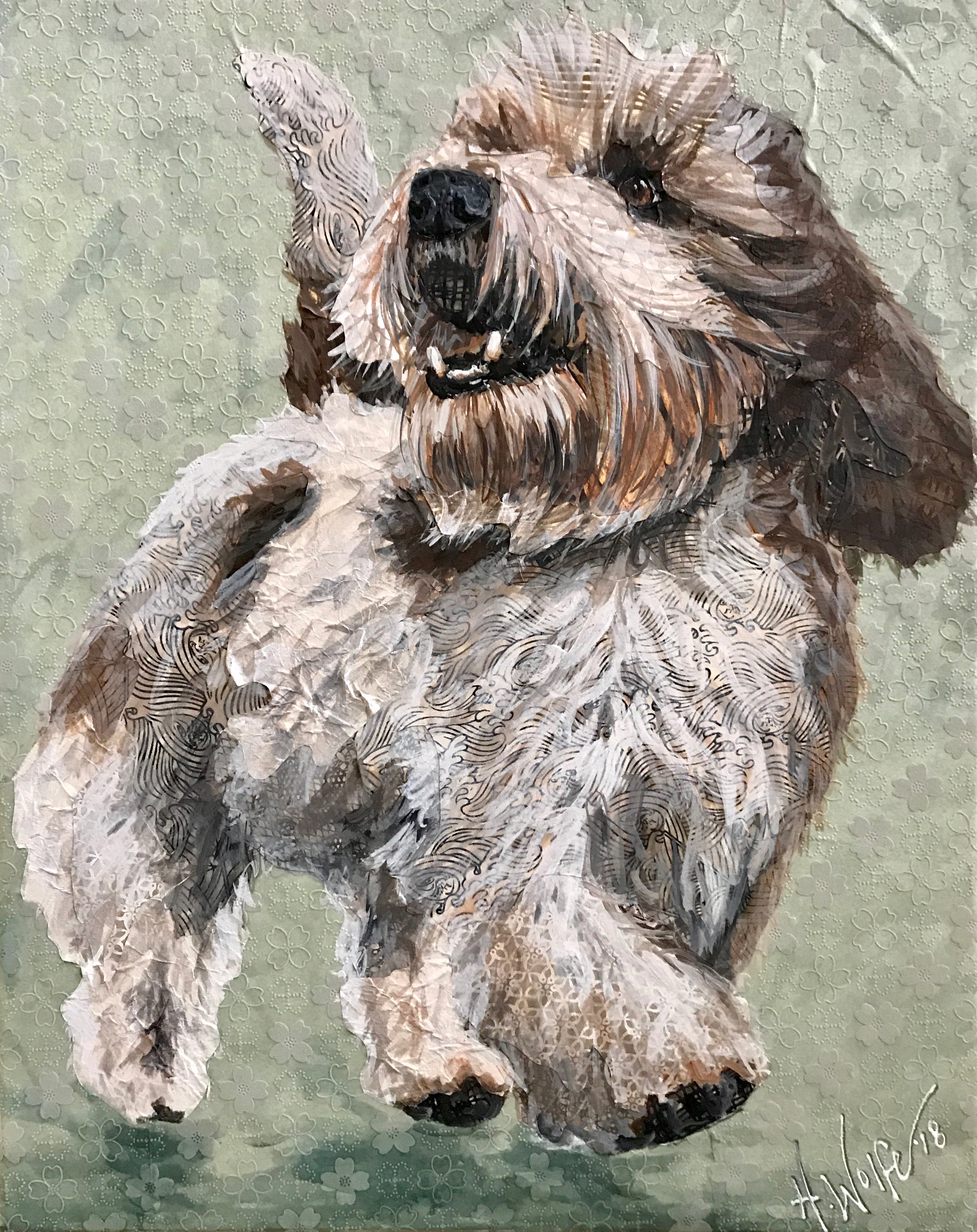 Fairchild - PBGV