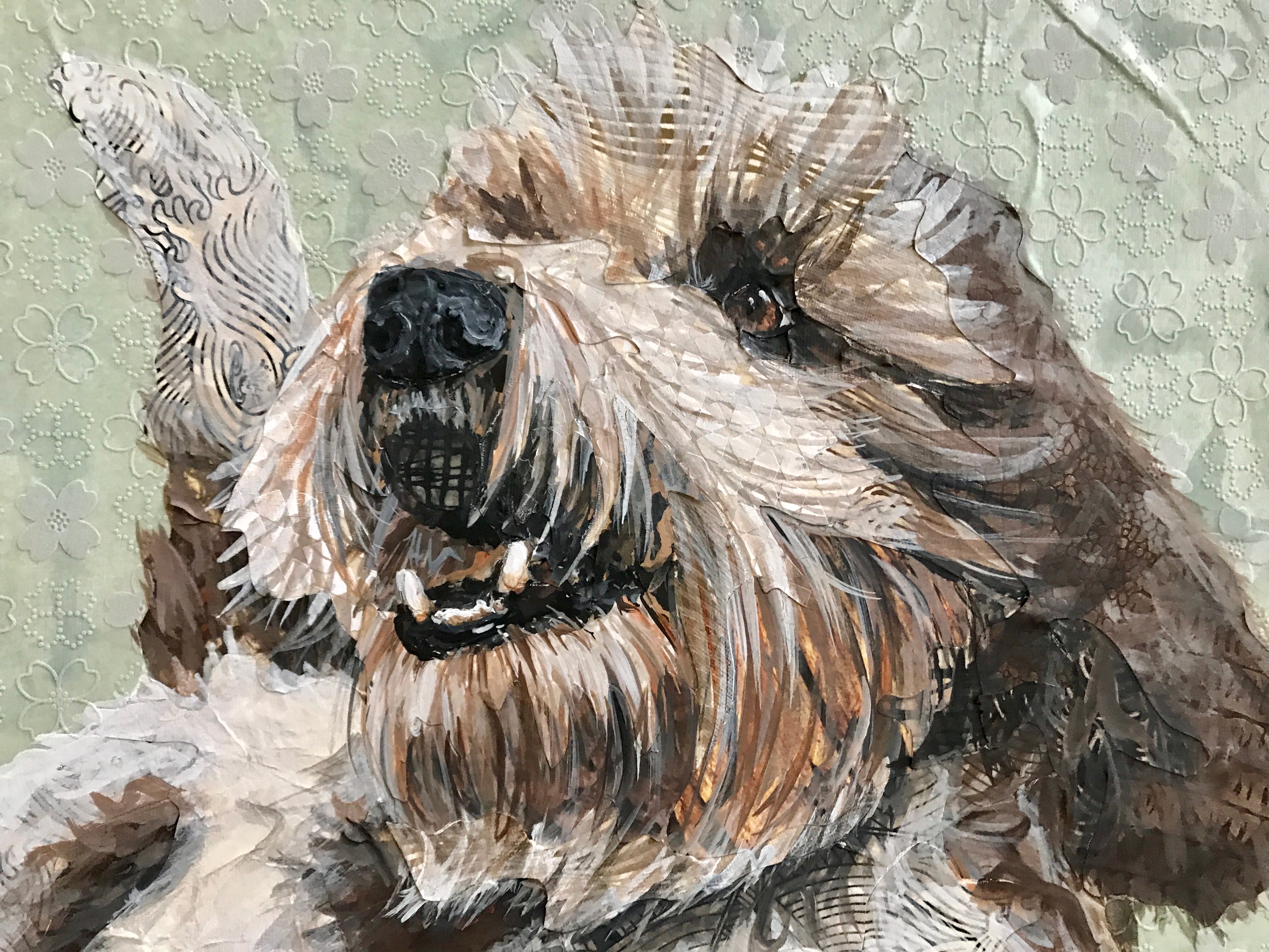 Fairchild - PBGV