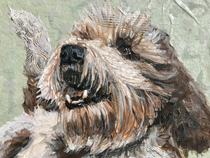 Fairchild - PBGV