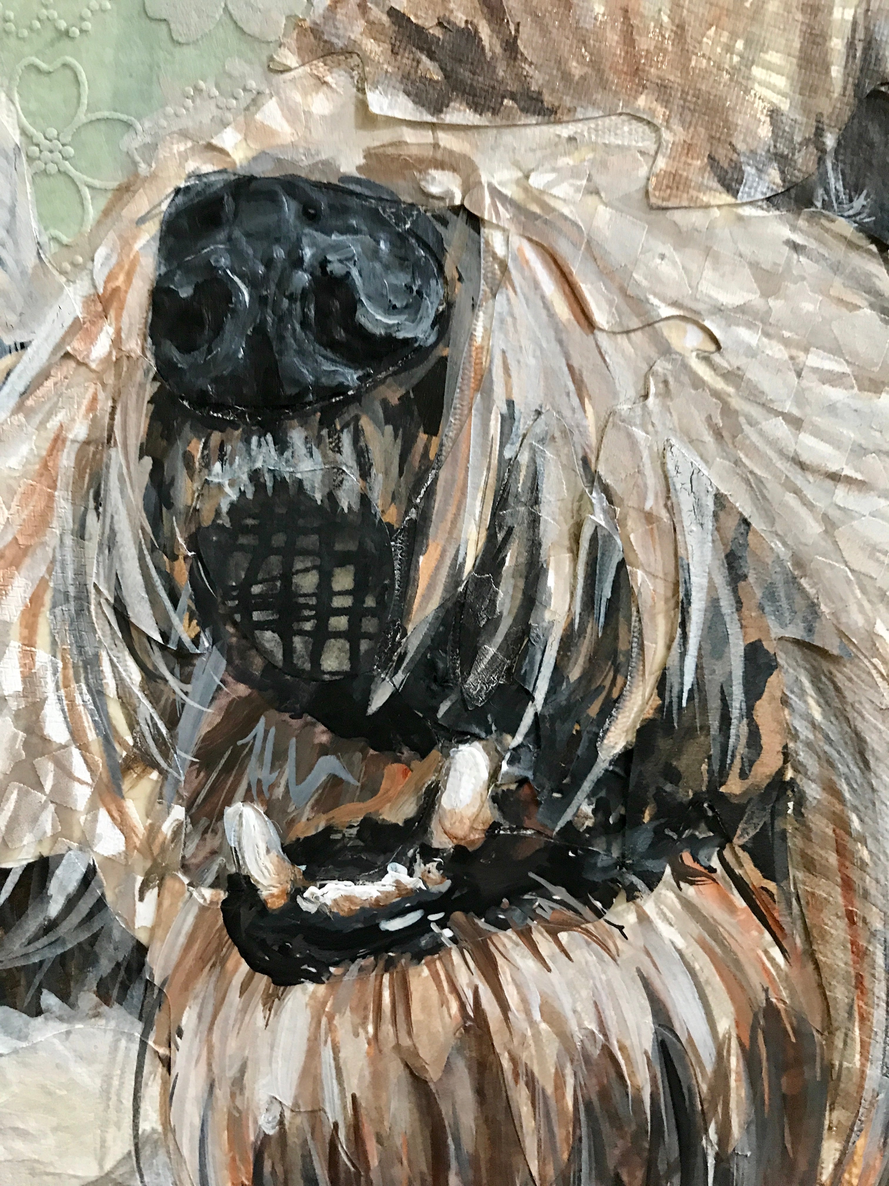 Fairchild - PBGV