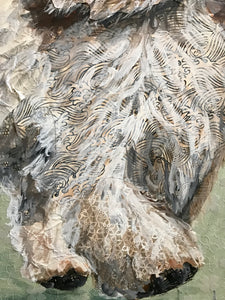 Fairchild - PBGV